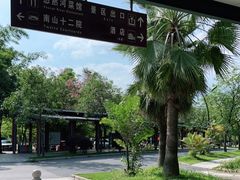 -南丹山森林王国