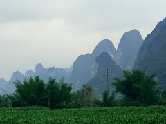 -明仕田园
