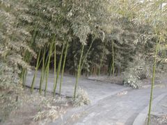 -戚继光故里