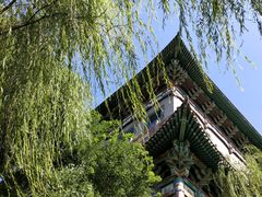 -文瀛公园