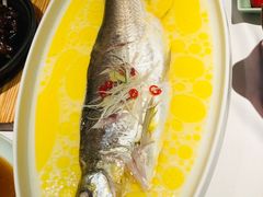 -森隆饭庄(崇文门新世界百货店)