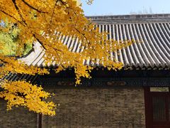 -晋祠公园
