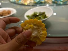 -九龙大酒店·金牌楚菜(武泰闸店)