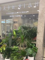 -HAIR HERE造型