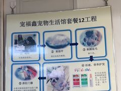 -宠福鑫动物医院(城北分院)