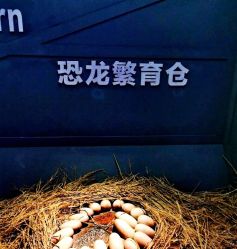 -恐龙探索乐园(磁器口店)