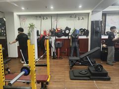 -温鉴良实用咏春拳