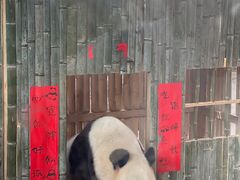 -宁波野生动物园