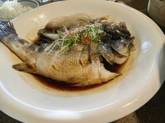 葱油鲈鱼-几荷·恰似故人来(秀水广场店)