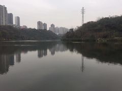 -重庆彩云湖湿地公园