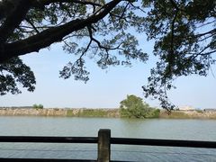 -大湾区中央湿地公园