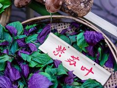 -田园印象·成都土菜院子(华阳店)