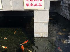 -长春观