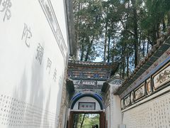 -寂照庵