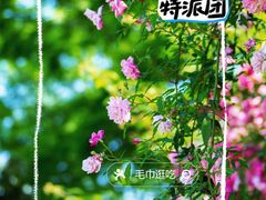 -鹅湖玫瑰文化园