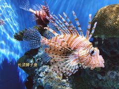 -北京海洋馆