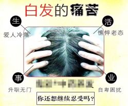 -诗碧曼养发