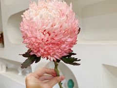 -森野花艺培训·企业团建活动沙龙