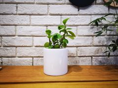 -韩香福脊骨汤锅(上杭路店)