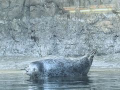 -海合安青岛极地海洋公园