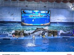 -多彩贵州城极地海洋世界