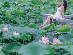 -灵栖洞天