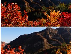-周口店坡峰岭风景区