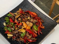 -蘑统田下·野生菌火锅