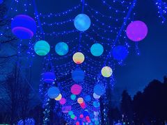 -金沙遗址博物馆