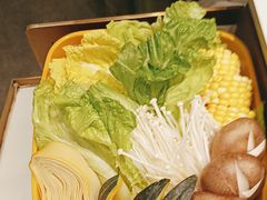 -润园四季椰子鸡火锅(南山海岸城店)