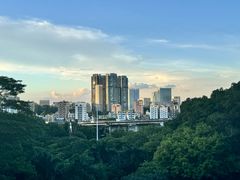-阳台山森林公园