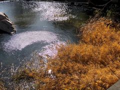 -碓臼峪自然风景区