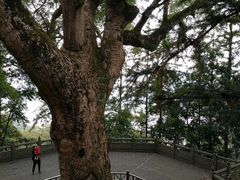 -安溪清水岩
