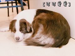 -餐酒吧Com-ing Bar(上海路店)