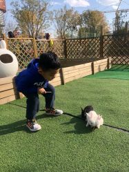 -萌宠亲子动物乐园(槐房万达店)