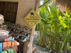 -大象粑粑造纸公园