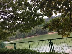 -中山市树木园