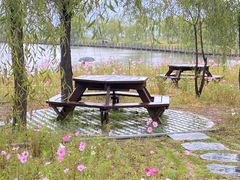 -野鸭湖国家湿地公园