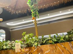-半悦牛排(龙湖西宸天街店)