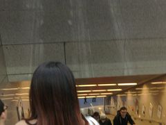 -大龙山(地铁站)