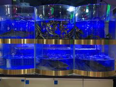-蛙一刀·麻椒鱼火锅(金仙桥店)