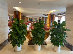 -锦江宾馆-花园餐厅