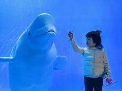 -多彩贵州城极地海洋世界