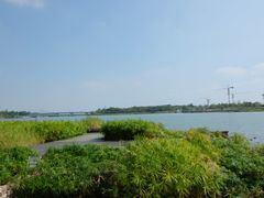 -深圳湾公园(南山区)