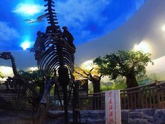 -嘉荫恐龙国家地质公园