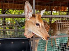 -珠海海泉湾神秘岛亲子乐园