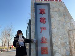 -辛庄国际文化艺术区