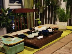 -青青一生美皮肤管理