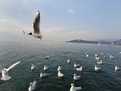 -小普陀