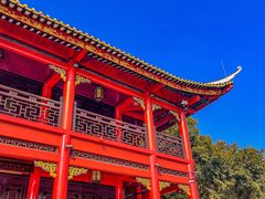 -顺峰山公园